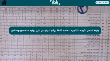 رابط إعلان نتيجة الثانوية العامة 2025 برقم الجلوس على بوابة «الأسبوع» الآن